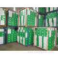 Normal White Garlic Crop 2019 From Jinxiang